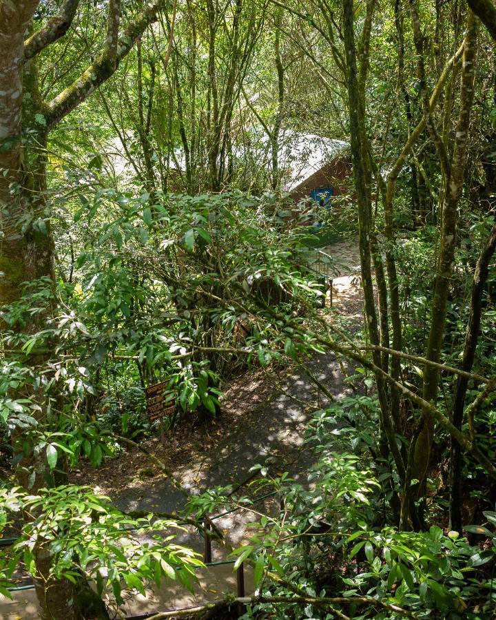 Cabañas el Bosque Turrialba Exterior foto